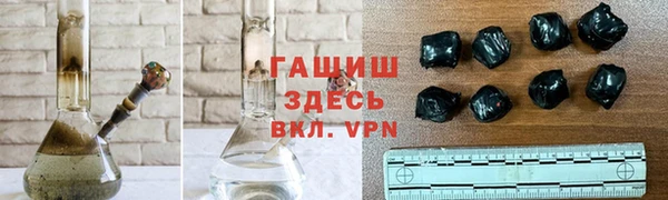 трава Белокуриха