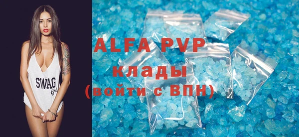 трава Белокуриха