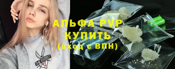 трава Белокуриха