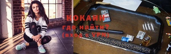 трава Белокуриха