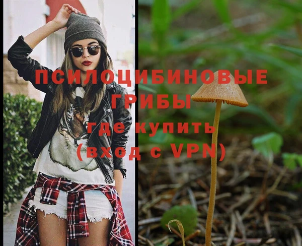 спиды Беломорск